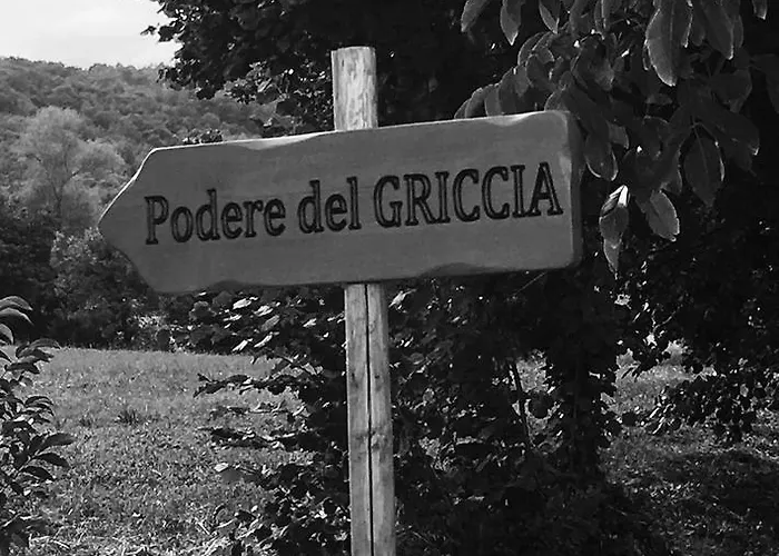 ファームステイ Podere Del Griccia チヴィテッラ・イン・ヴァル・ディ・キアーナ